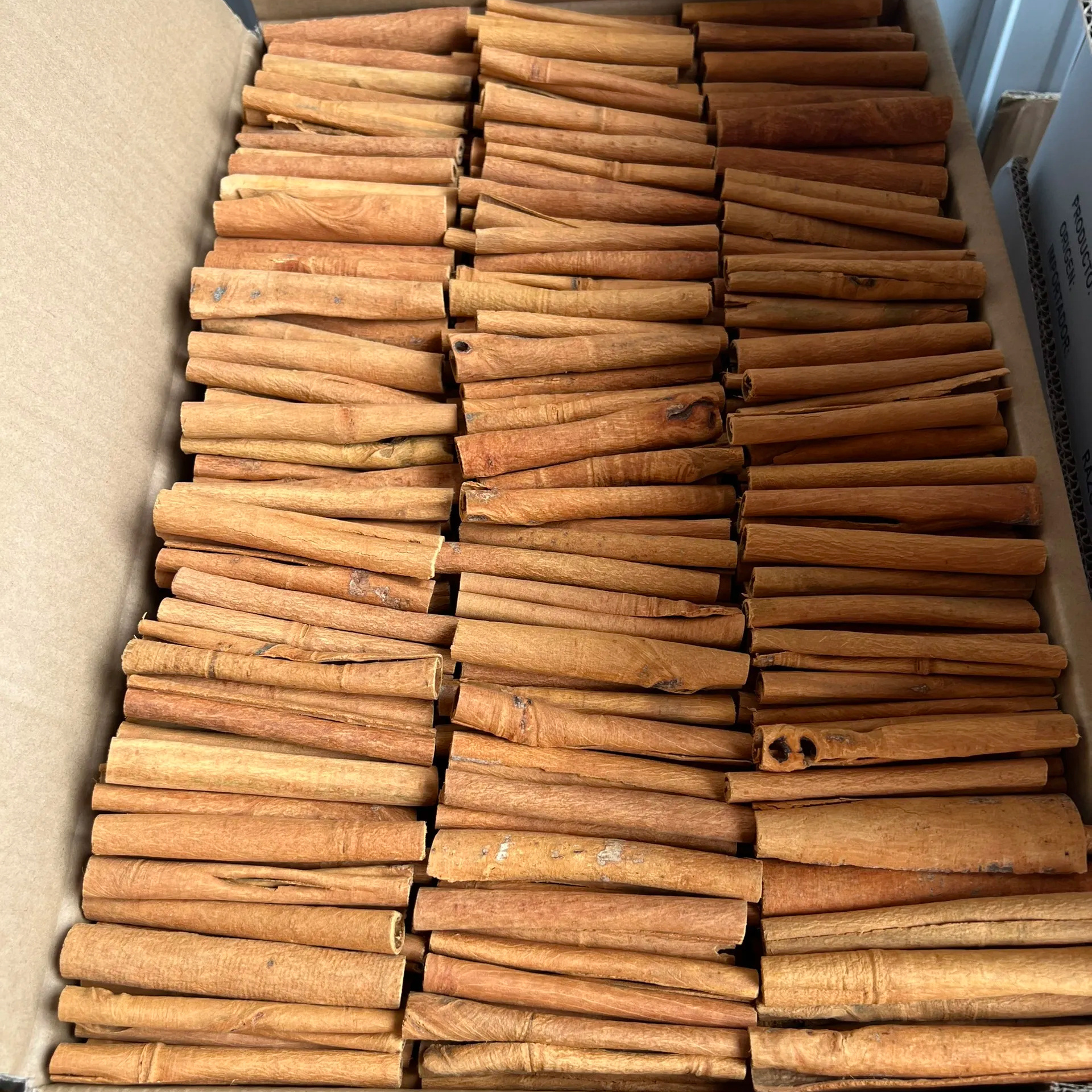 Unbelievable Price Cigarette Cassia - Vietnam Spices Short Stick Cinnamon Exporter - Ready For Delivery