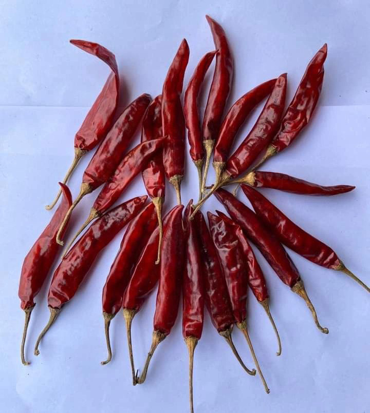 Spices & Herbs Best Price Dried Chili Hot - Wholesale Best Dry Chili Wholesales Exporter 100% Organic