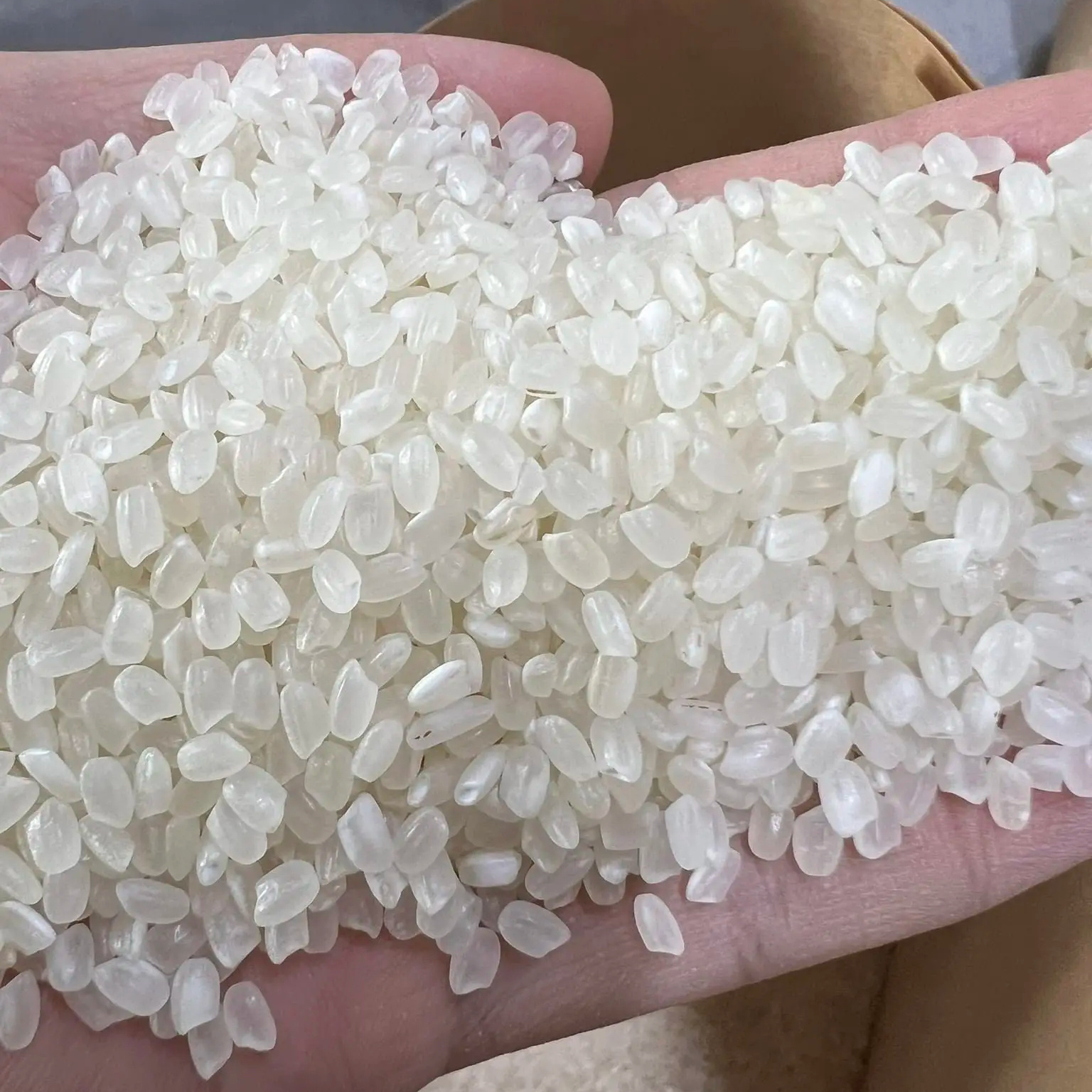 Top Quality Vietnam Short Round Grain Japonica Rice Lowest Price White Rice Sushi Rice Customized Packing Free Sample