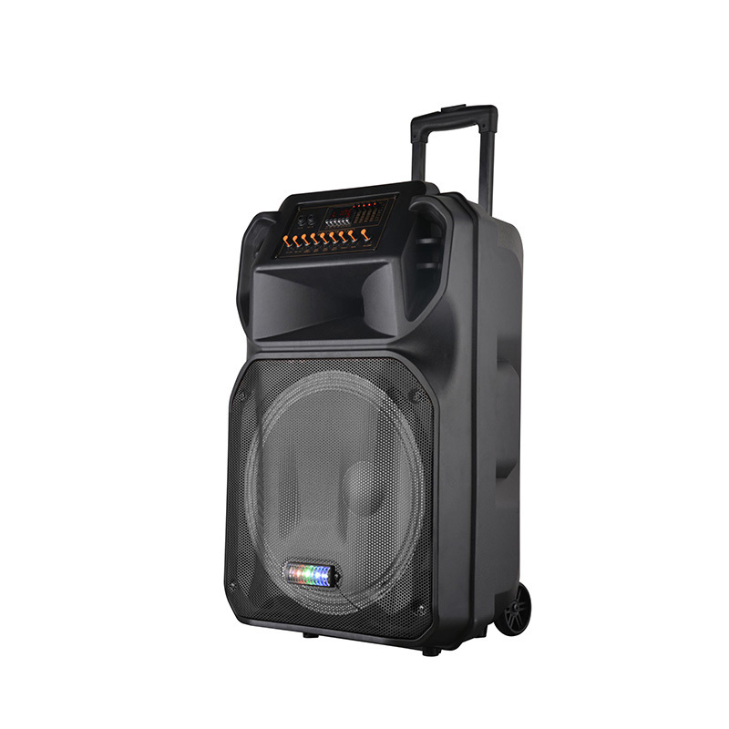 Sf105Bt Havit 12 Inch Speaker Trolley Portable Trolley Speaker Audio Player Karaoke Big Speakers 12