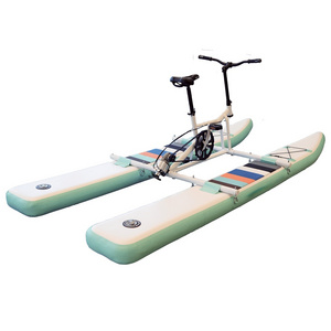 Hot Selling Sea Play Used Games Equipment Water Surf Bike Electric for Sale