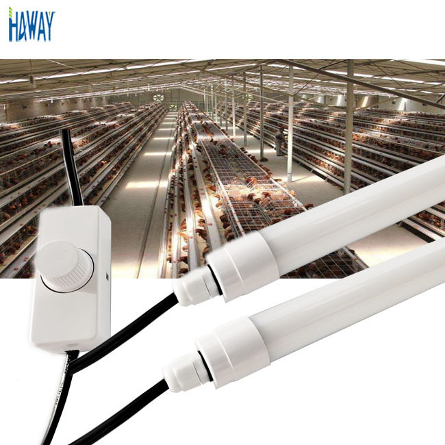 IP65 waterproof t5 t8 led dimmable tube poultry light  4ft 5ft 0-100% Dimmable led chicken farm light with 3years warranty