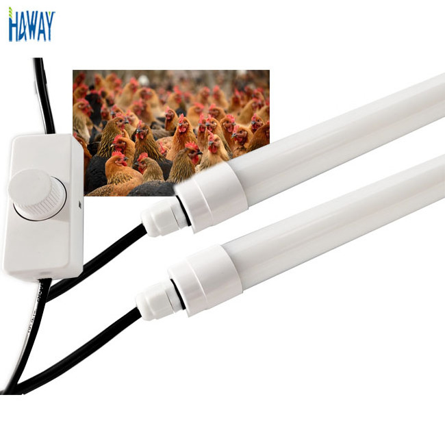 IP65 waterproof t5 t8 led dimmable tube poultry light  4ft 5ft 0-100% Dimmable led chicken farm light with 3years warranty