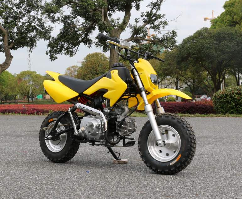 50cc 4 Stroke Adults Petrol Dirt Bike/Pit Bikes Cheap for sale