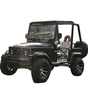 3000w  128AH  Electric Dune Buggy Mini Electric  Jeap Car Cheap For Sale