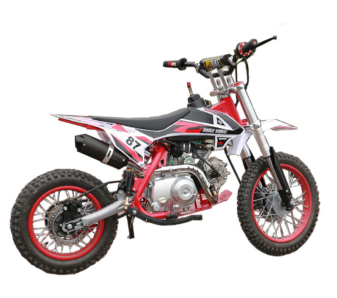 Kids Petrol Dirt Bike/Pit Bike 50cc/ 110cc with 14/12 wheels for sale