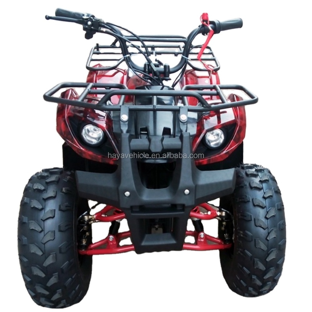 Hot Sale Shaft Drive Electric ATV Bike 750w for Kids