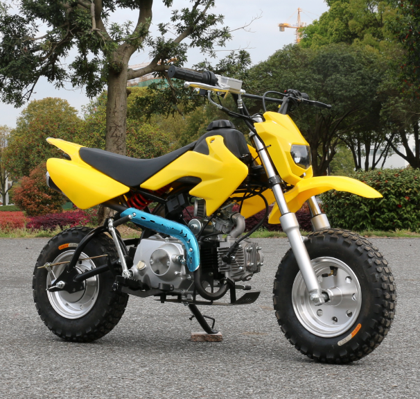 50cc 4 Stroke Adults Petrol Dirt Bike/Pit Bikes Cheap for sale