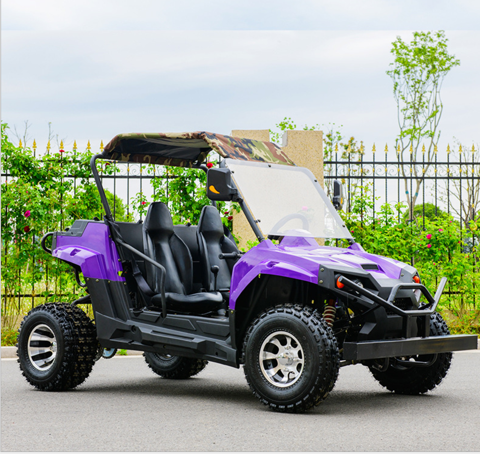 200cc UTV Go Kart /automatic Quad ATV