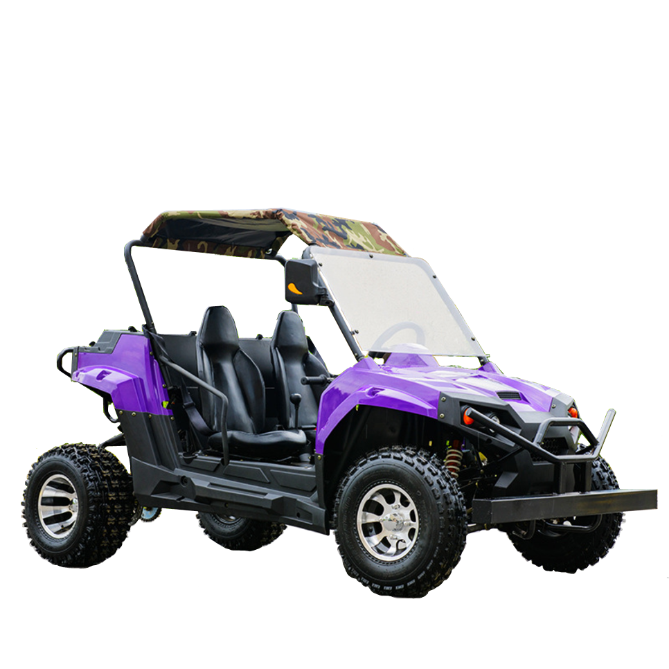 72v 3000w Electric ATV / Electric Dune Buggy  for Adults With Two Seat