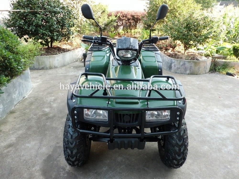 Electric ATV 4000w