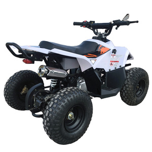 110cc/125CC ATV Four-wheel mountain ATVs off-road Motorcycle for kids/Adults