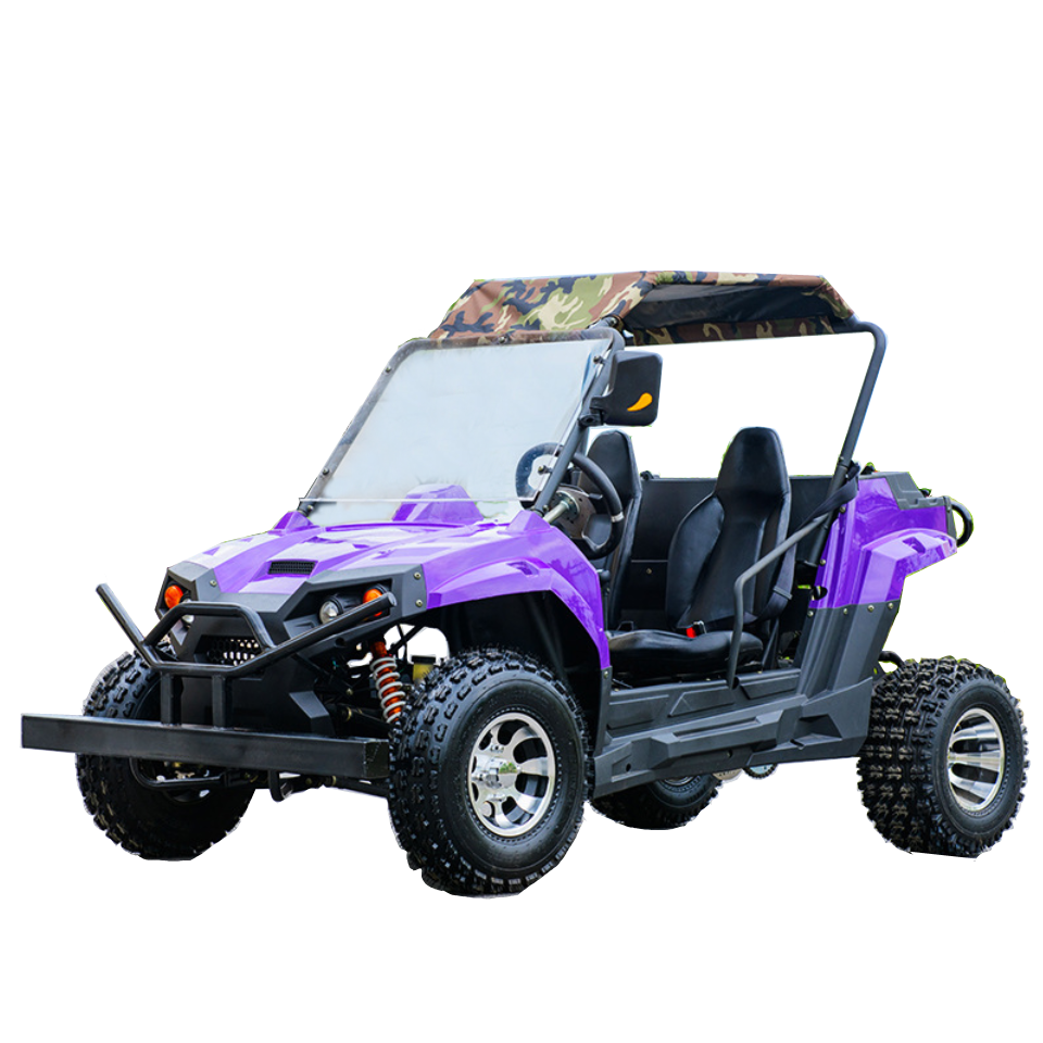 72v 3000w Electric ATV / Electric Dune Buggy  for Adults With Two Seat