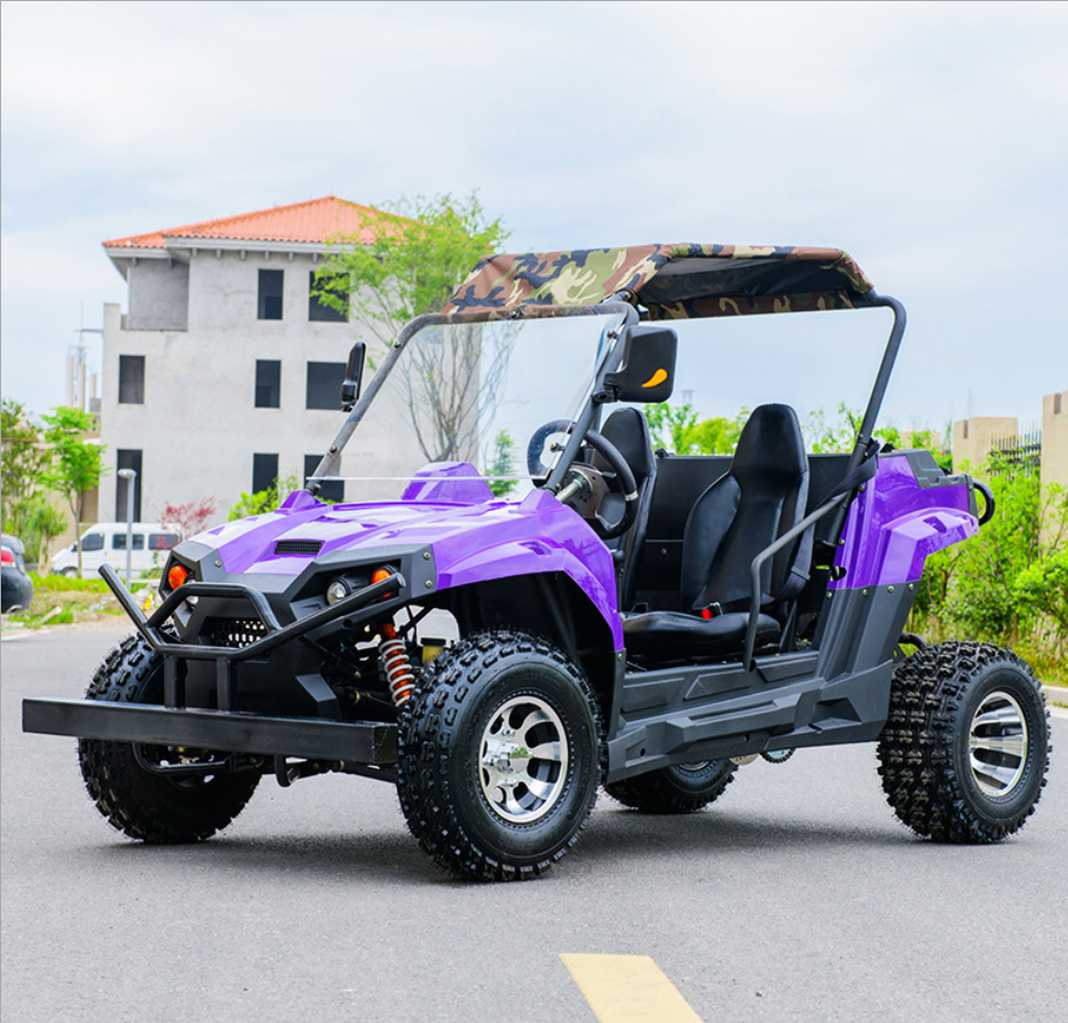 200cc UTV Go Kart /automatic Quad ATV