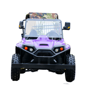 72v 3000w Electric ATV / Electric Dune Buggy  for Adults With Two Seat