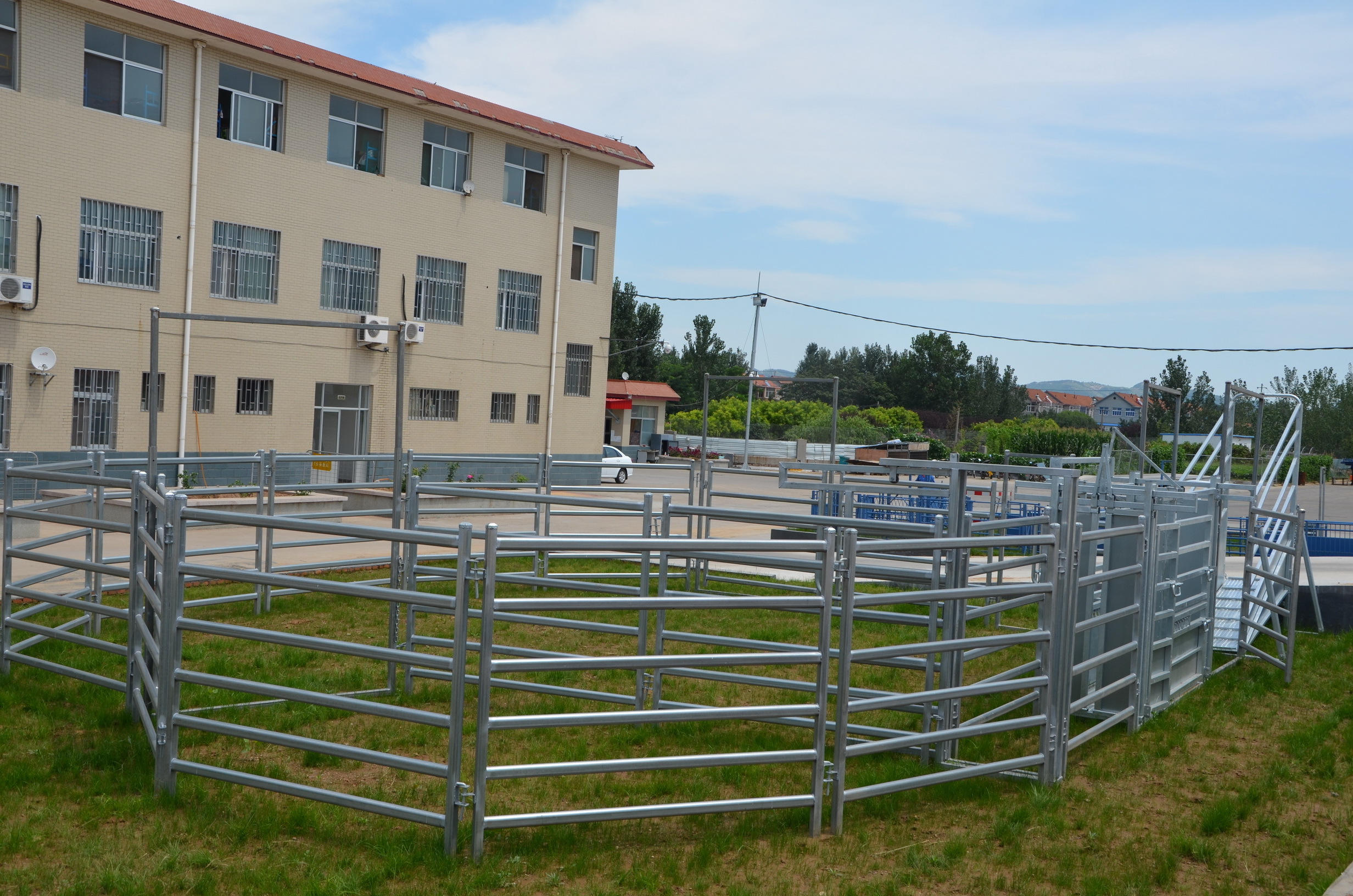 Galvanized livestock yard cattle panel with 72mm oval pipe