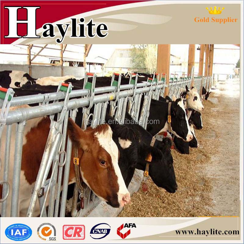 Cow dairy farm headlock for self lock with rubber