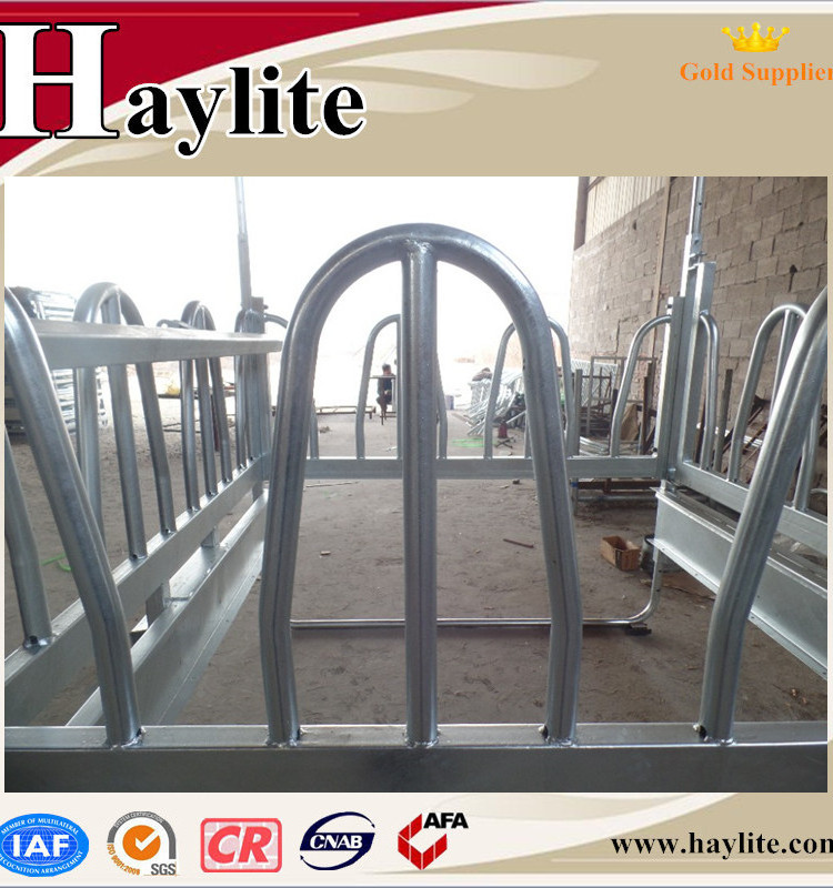 Hot Dip galvanised steel horse slow hay save feeder with roof