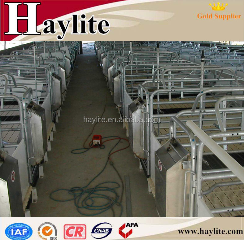 2.4X2.1m pig farrowing crate with plastic floor pen