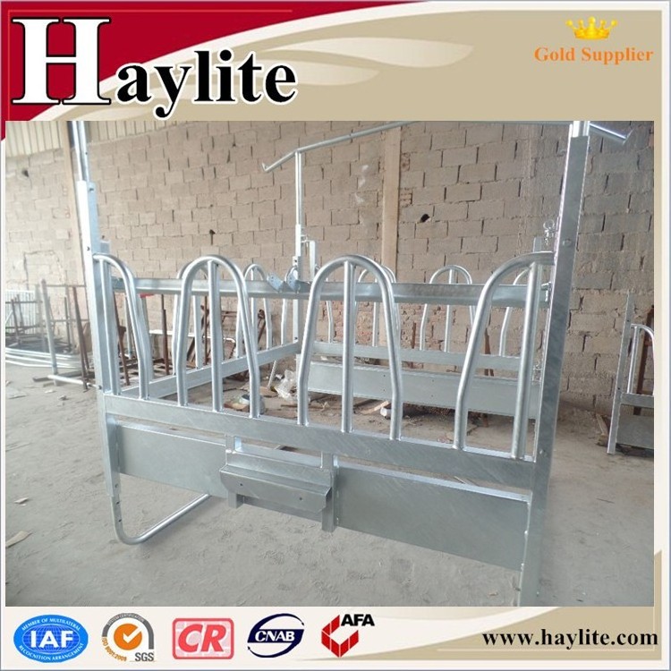 Hot Dip galvanised steel horse slow hay save feeder with roof