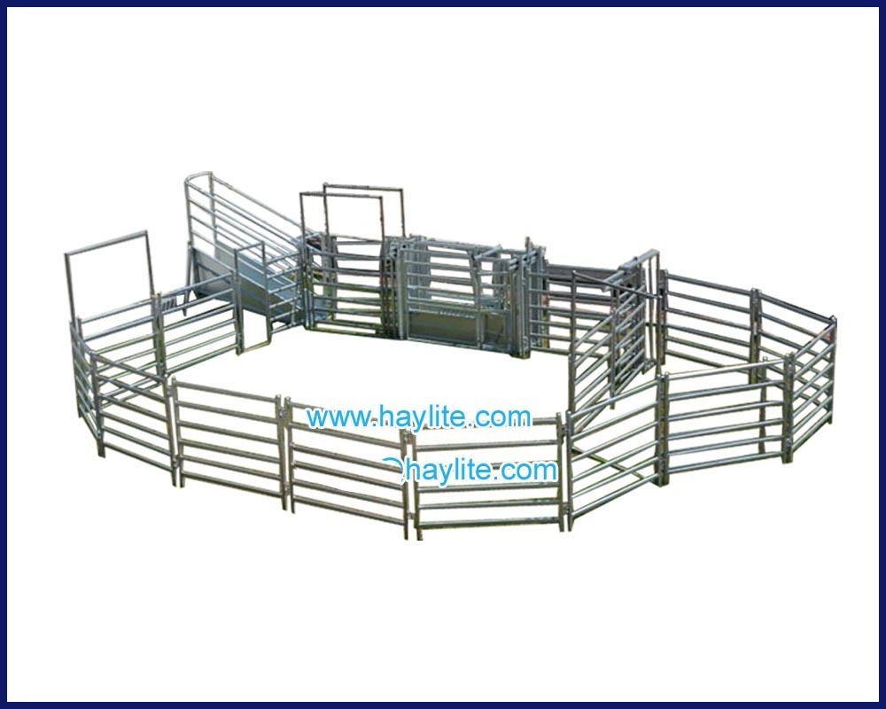 Galvanized livestock yard cattle panel with 72mm oval pipe