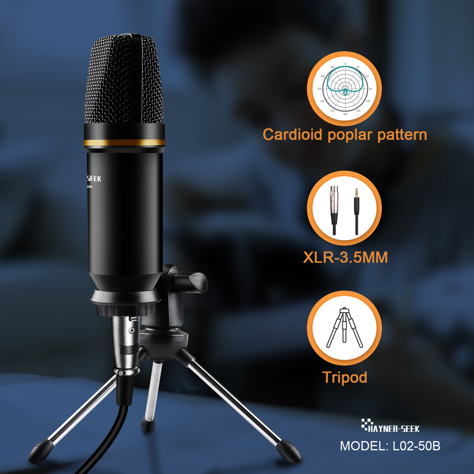 Hayner-Seek  Professional Condenser Studio Microphone With Audio Interface and Earphone for Broadcasting