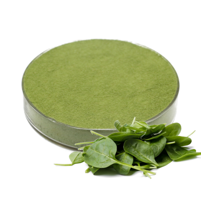 Freeze-dried dehydrated spinach powder high quality spinach powder