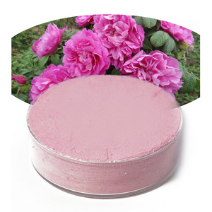 High quality rose powder food grade rose juice extract powder