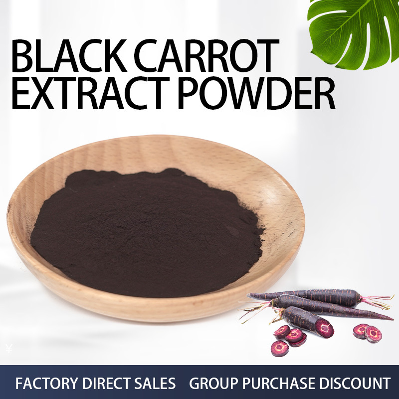 Purple Black Carrot Powder Herbal Extract Juice Concentrate Type Black Carrot Powder