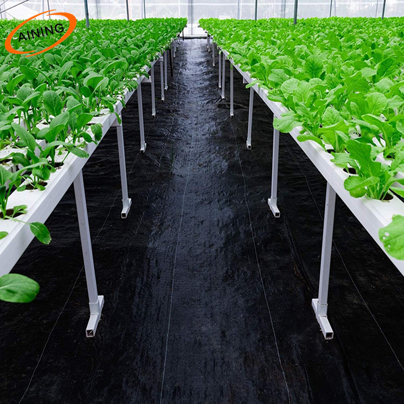 weeding cloth weed fabric control agricultural pp anti grass cloth anti weed mat with uv protection