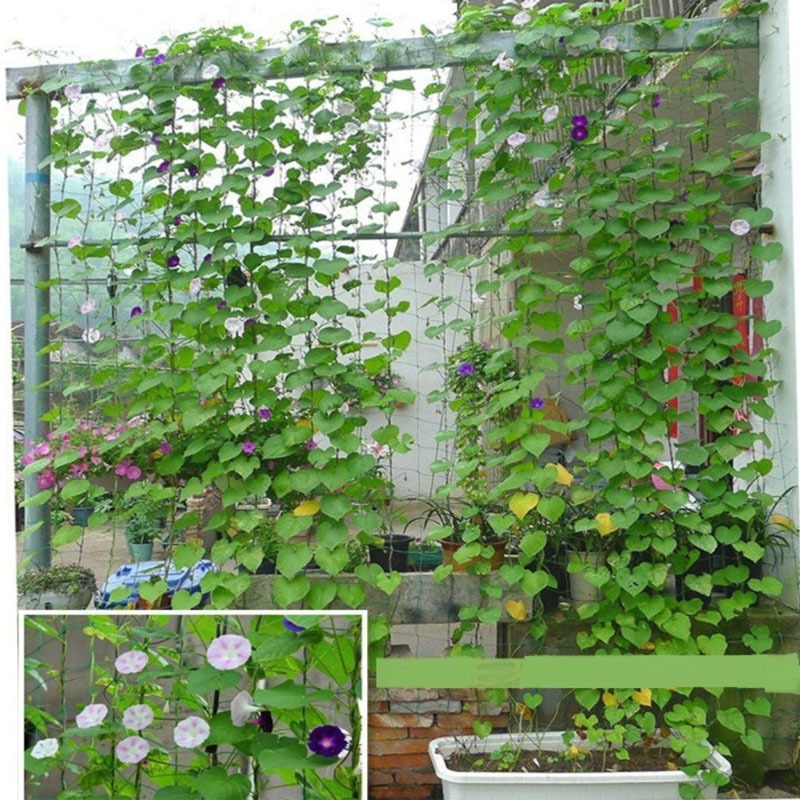 cucumber trellis netting/plants support net/plants grow mesh net