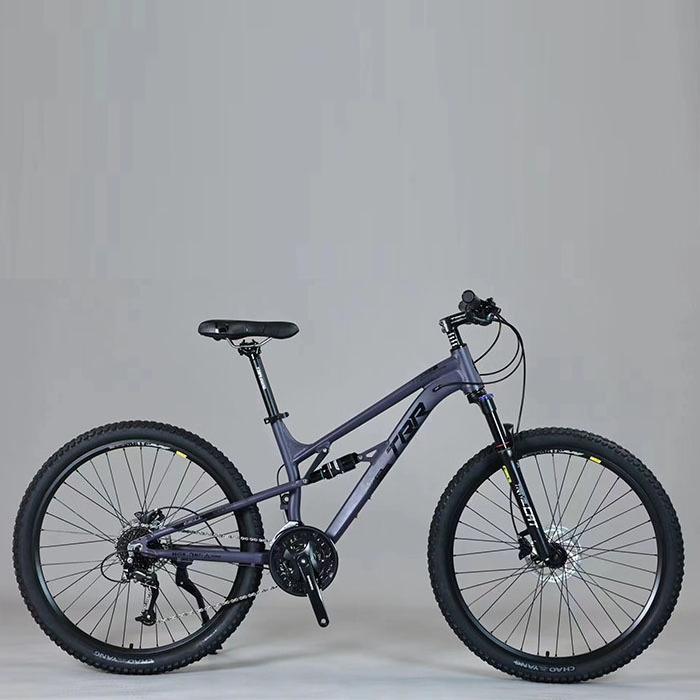 High Quality 29 Inch steel frame Mountain Bicycle 21-Speed 26 inch  Bike with Custom Design and Suspension Fork Wholesale price