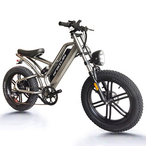 Warehouse Oem Factory Electric Hybrid Bike Cheap Electric Bike 1500w 8000W Fat Tire Mountain Bicycle Steel 48V 20AH