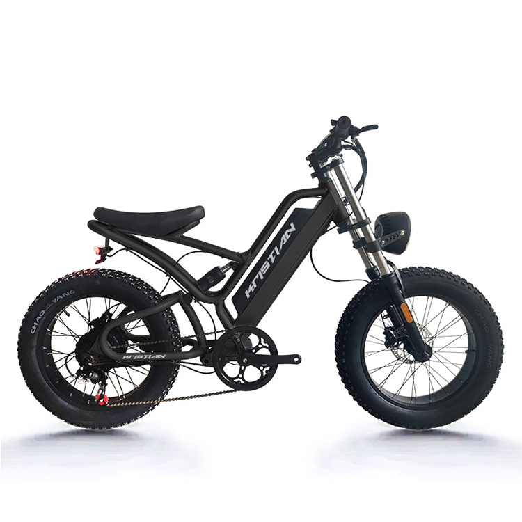 Warehouse Oem Factory Electric Hybrid Bike Cheap Electric Bike 1500w 8000W Fat Tire Mountain Bicycle Steel 48V 20AH