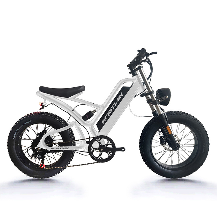 Warehouse Oem Factory Electric Hybrid Bike Cheap Electric Bike 1500w 8000W Fat Tire Mountain Bicycle Steel 48V 20AH