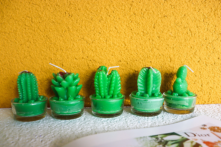 Cactus Tealight Candles Gift Set Handmade Delicate Smokeless Cute Succulents Green Plant Candle For Party