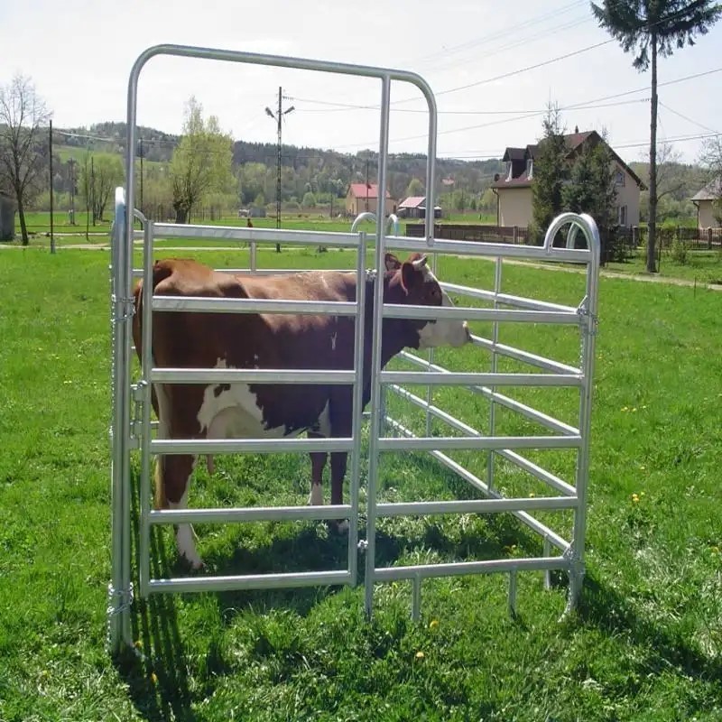 Galvanized 12ft heavy duty used metal horse fence panels/Round pen panels Livestock Cattle Panels/Horse Corral panels