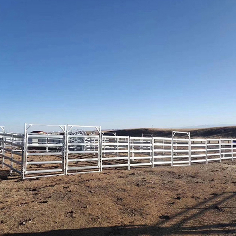 Galvanized 12ft heavy duty used metal horse fence panels/Round pen panels Livestock Cattle Panels/Horse Corral panels