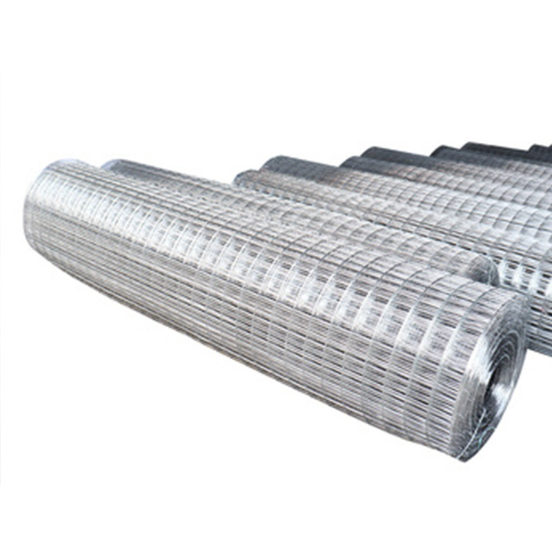 2x2 4x4 6x6 galvanized welded wire mesh roll price for bird cage/Rabbit Fencing Aviary Fence