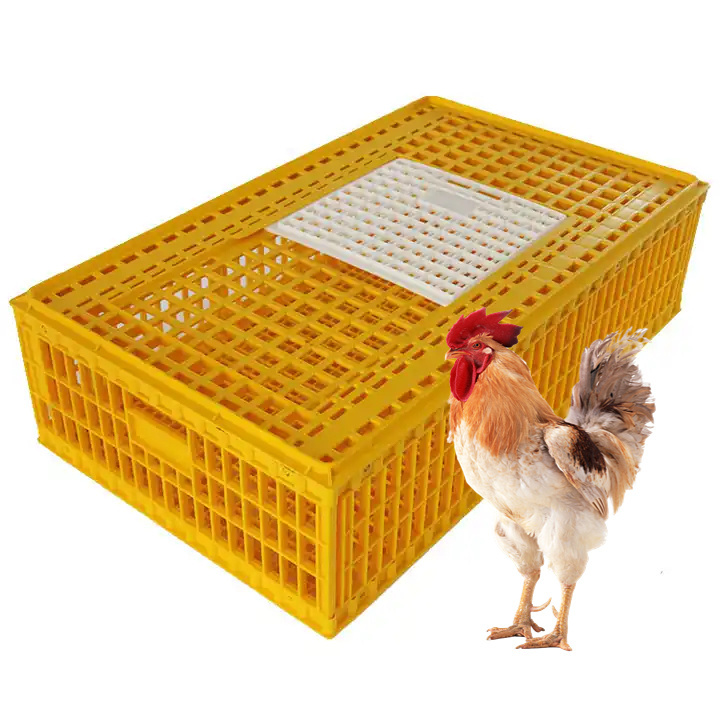 Hot Sell Plastic Chicken Ducks Geese Pigeon Transportation Cage Chicken Transport Box