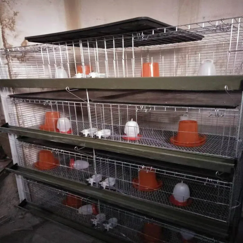 Good Quality Galvanized Cage Brooder For Chick Brooder Cage Day Old Chicks Cage