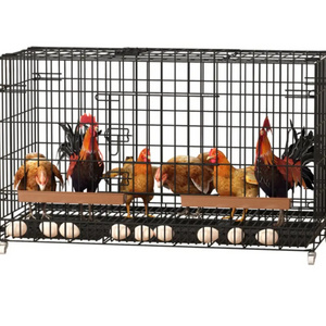 Multiple Sizes Wire Large Square Parrot Breeding Pet Rabbit Animal Chicken Carrier Cage Quail Cage