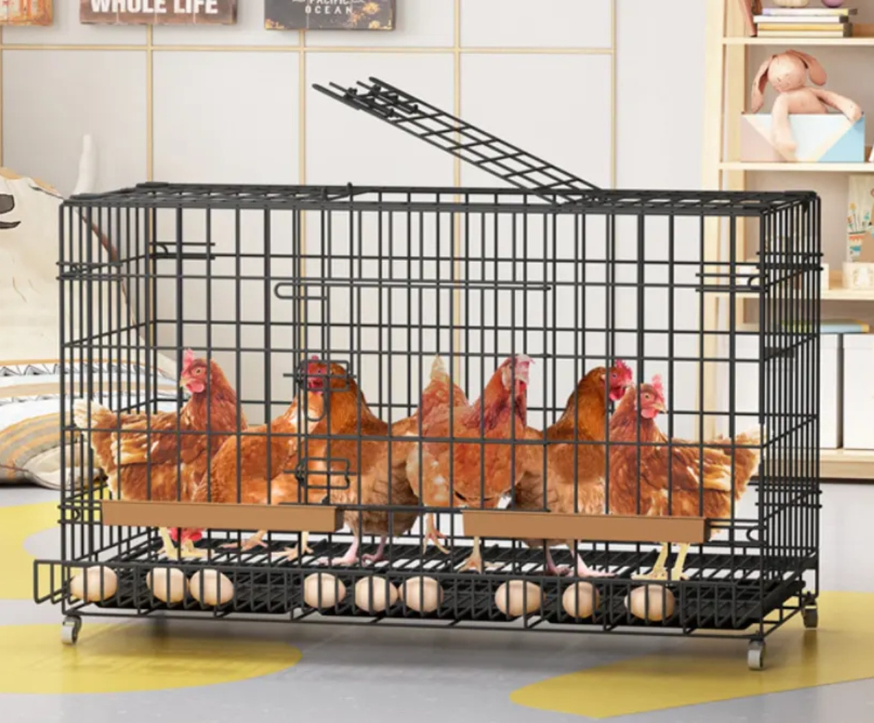 Multiple Sizes Collapsible /Foldable Chicken Cage/Gamefowl Rooster Show Cage