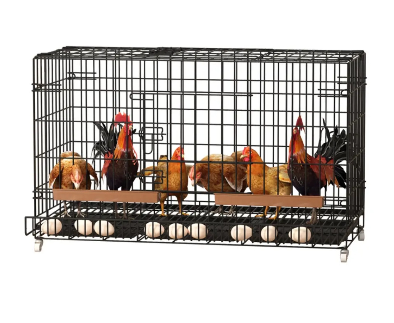 Multiple Sizes Collapsible /Foldable Chicken Cage/Gamefowl Rooster Show Cage