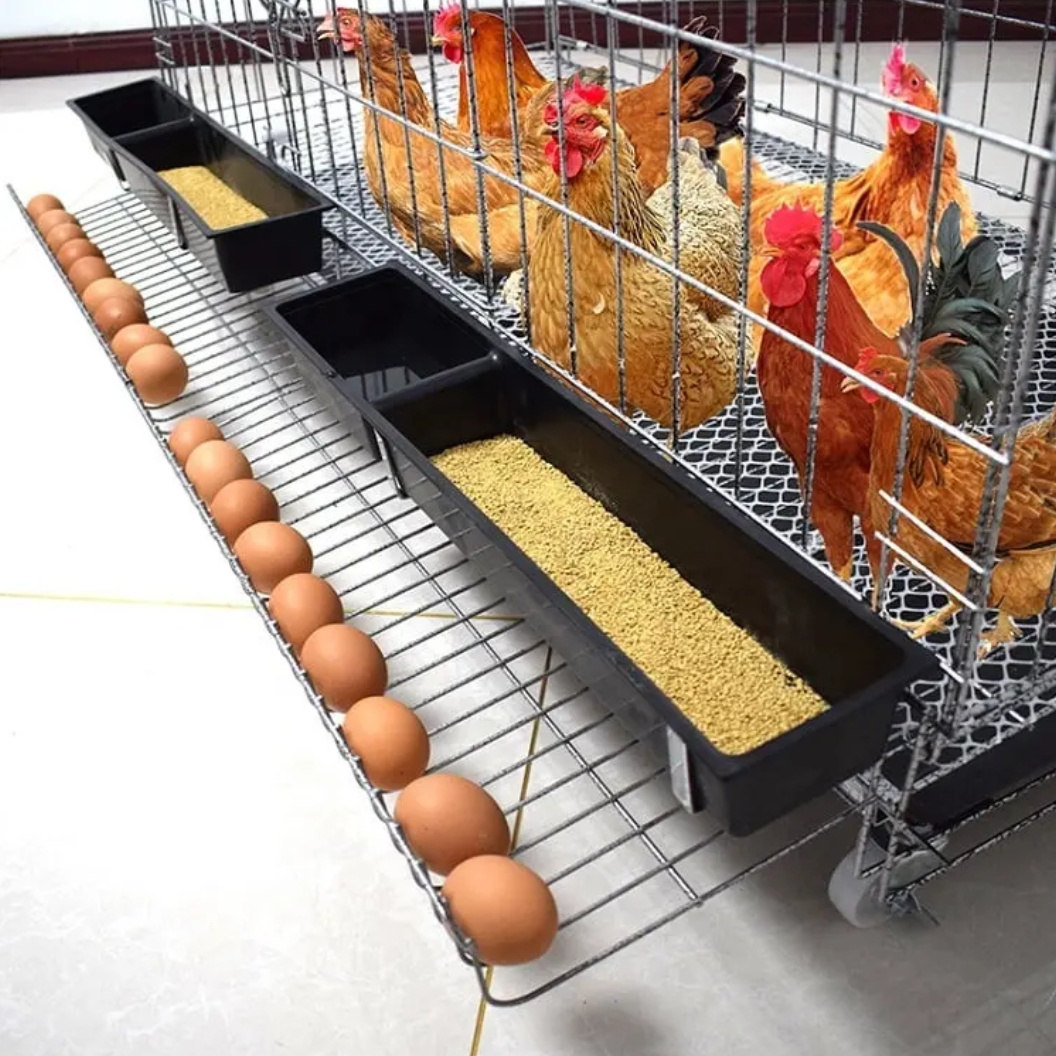 Multiple Sizes Collapsible /Foldable Chicken Cage/Gamefowl Rooster Show Cage