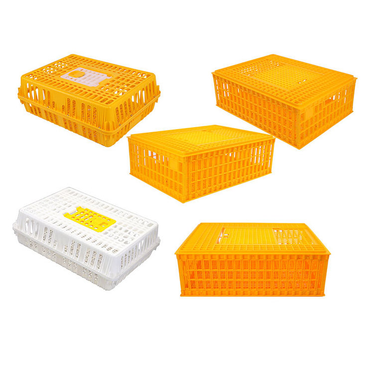 Hot Sell Plastic Chicken Ducks Geese Pigeon Transportation Cage Chicken Transport Box