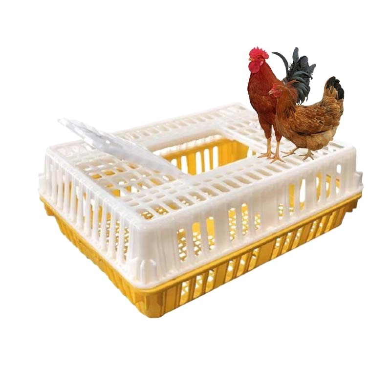 Hot Sell Plastic Chicken Ducks Geese Pigeon Transportation Cage Chicken Transport Box