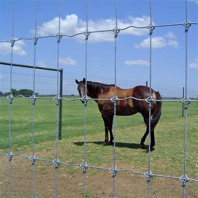 Farm 100M Roll Farm Field Fence/Hinge Joint Fence/Veldspan Fence For Cattle