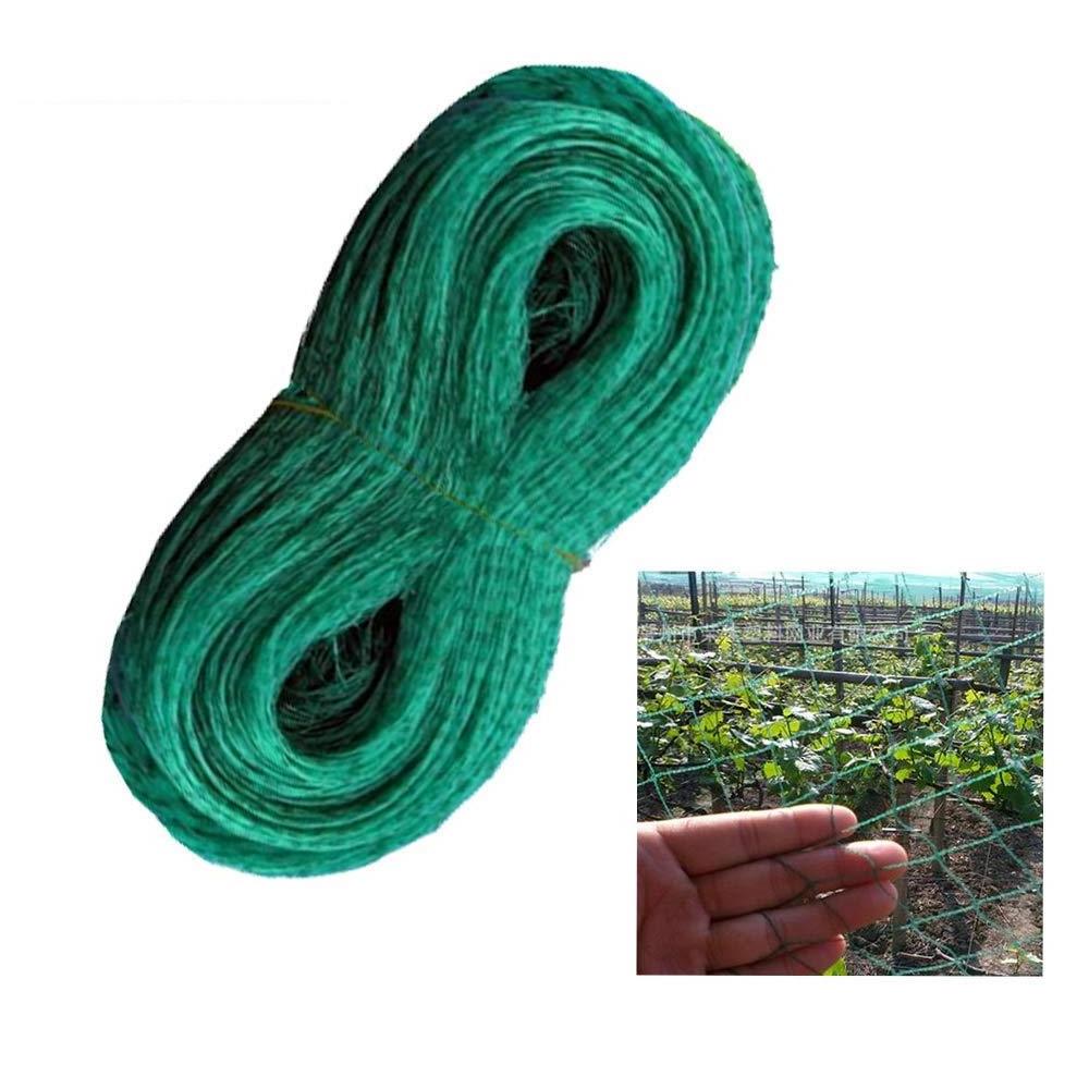 customizable various agricultural anti bird netting/Anti Bird Netting Plastic Extruded Catching Bird Net