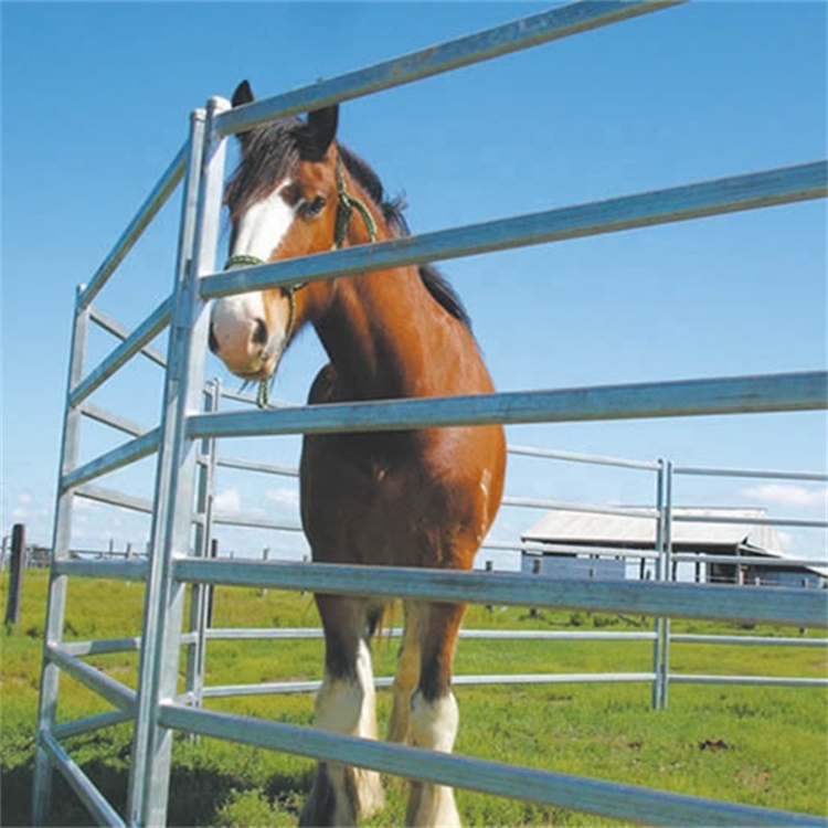 5ft 6ft 7ft 8ft galvanized ranch cattle horse fence panels